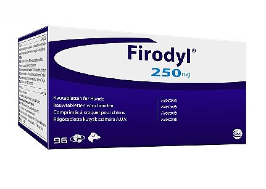 FIRODYL 250MG 16X 6CO 