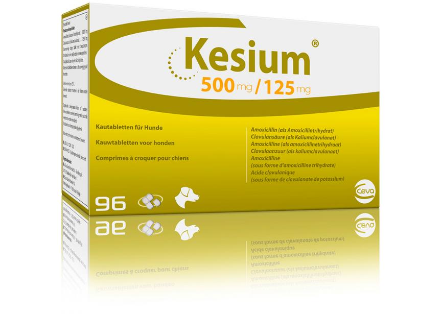 KESIUM 500MG 125MG 96CO