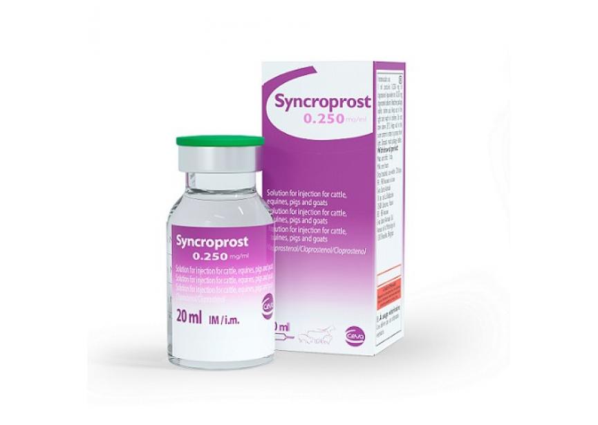 SYNCROPROST 20ML