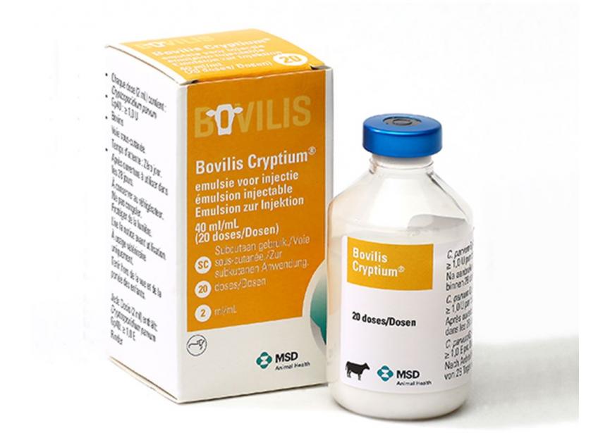 BOVILIS CRYPTIUM 1X 20D 40ML