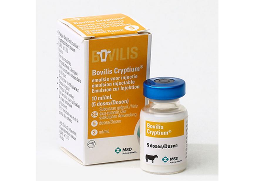 BOVILIS CRYPTIUM 1X 5D 10ML