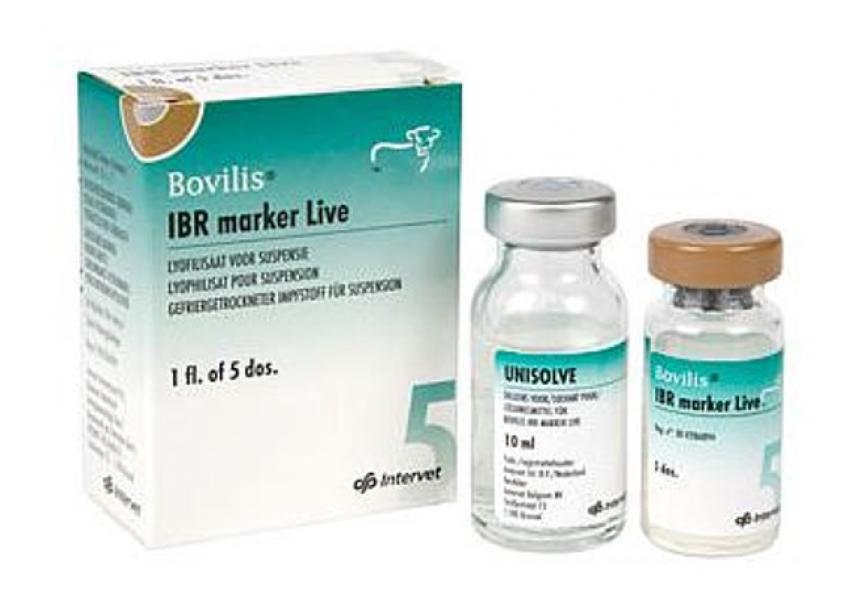 BOVILIS IBR VIV 10ML 5D