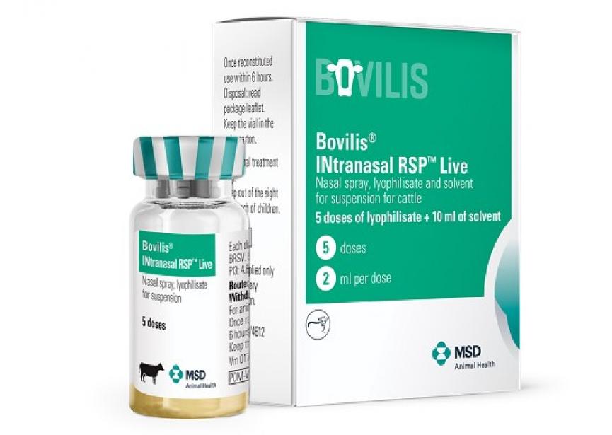 BOVILIS INTRANASAL RSP LIVE 1X 5D 