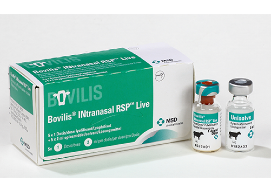 BOVILIS INTRANASAL RSP LIVE 5X 1D