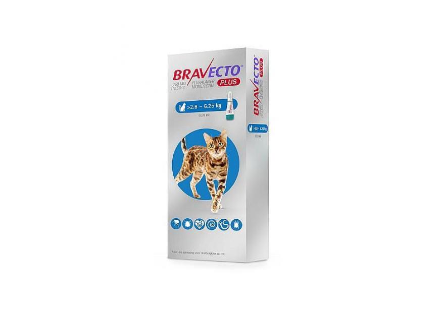 BRAVECTO PLUS 250MG SPOT ON KAT 2,8-6,25KG 1 PIP