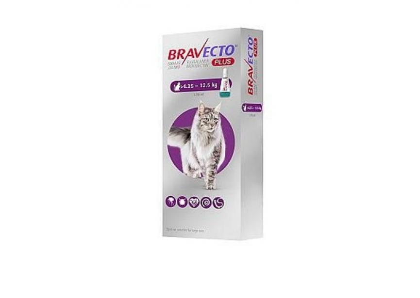 BRAVECTO PLUS 500MG SPOT ON KAT 6,25-12,5KG 1 PIP