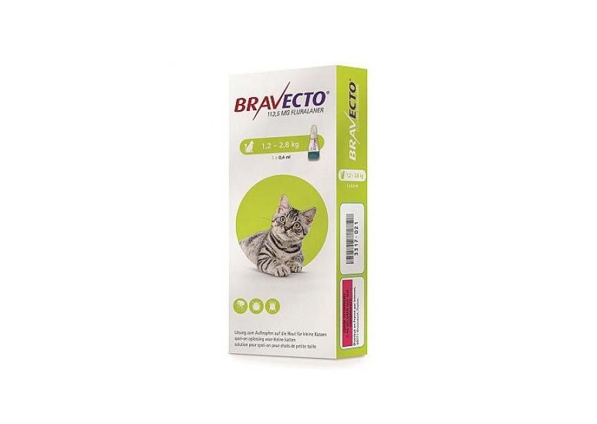 BRAVECTO 112,5MG SPOT ON KAT 1,2-2,8KG 1PIP