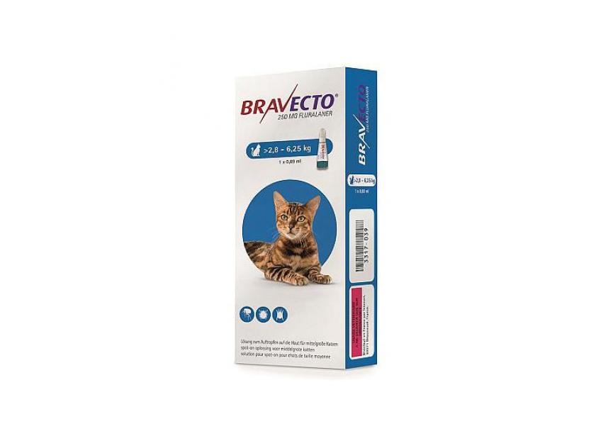 BRAVECTO 250MG SPOT ON KAT 2,8-6,25KG 1 PIP