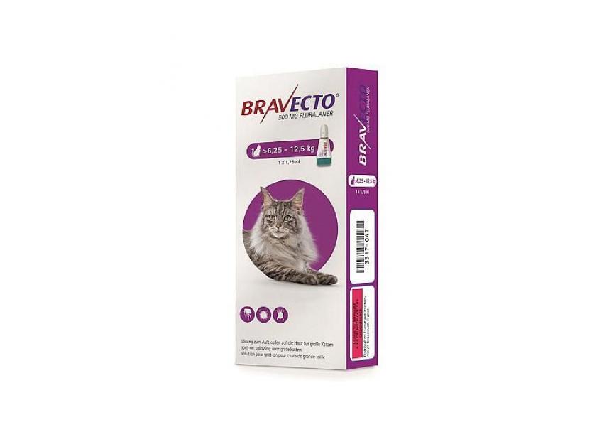 BRAVECTO 500MG SPOT ON KAT 6,25-12,5KG 1 PIP