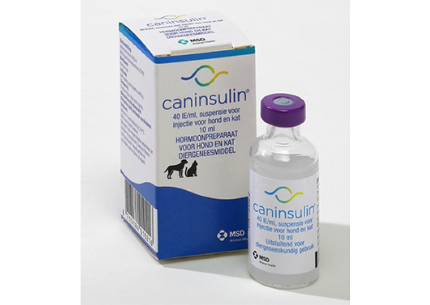 CANINSULIN 10ML