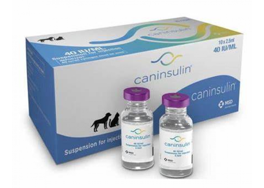 CANINSULIN 10X 2,5ML