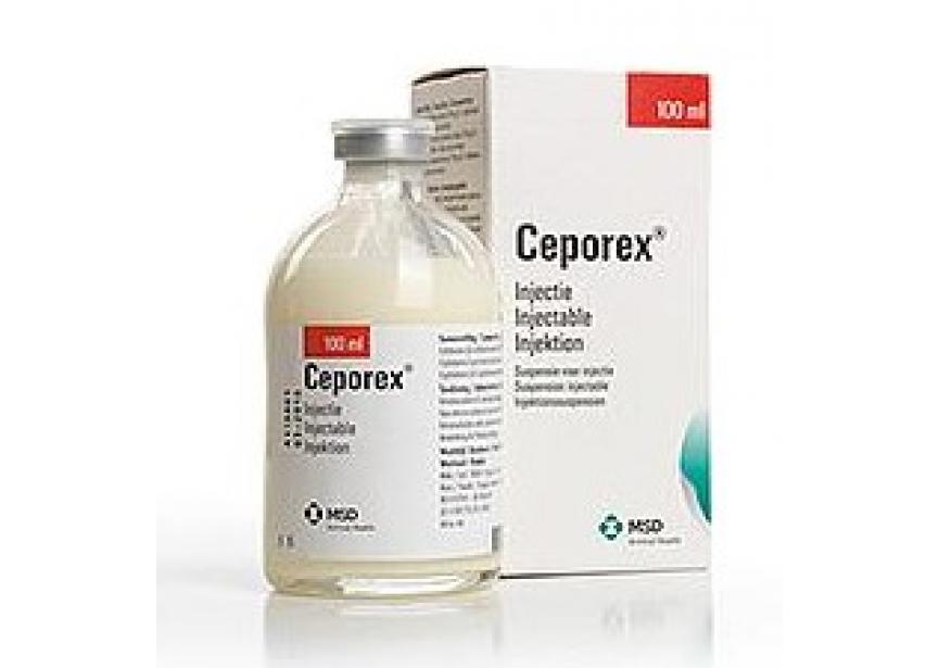 CEPOREX 100ML