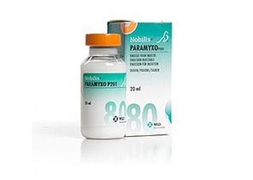 NOBILIS PARAMYXO P201 20ML 80D