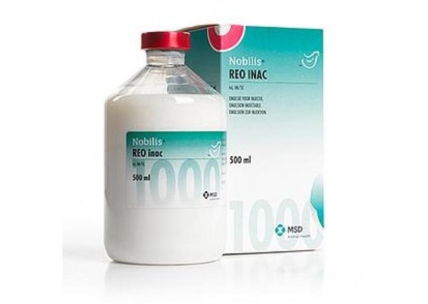 NOBILIS REO INAC 500ML