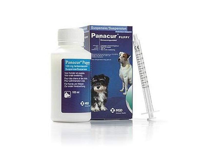 PANACUR PUPPY 100ML