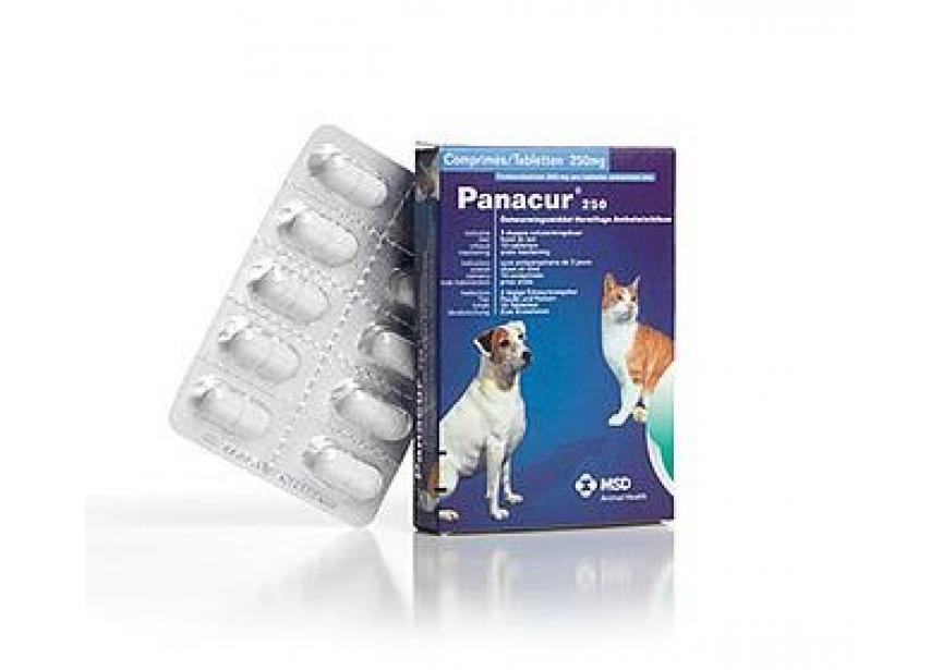 PANACUR 250MG 10CO