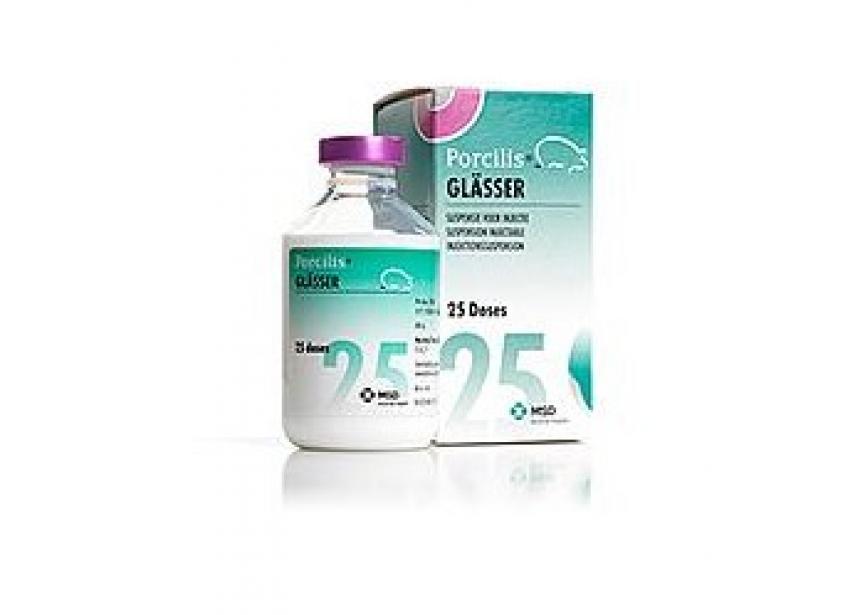 PORCILIS GLASSER 50ML 25D