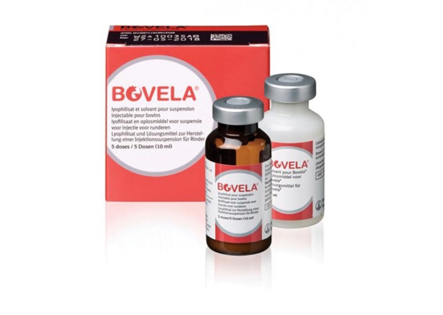 BOVELA 10ML 5D