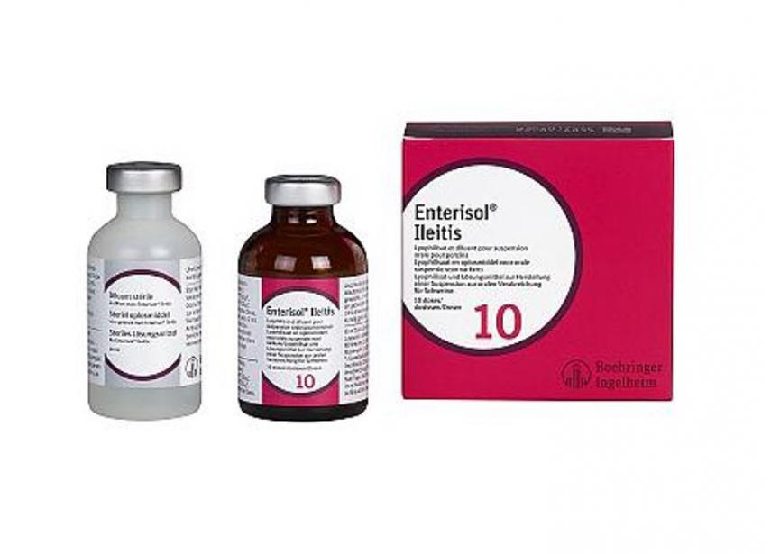 ENTERISOL ILEITIS 20ML 10D