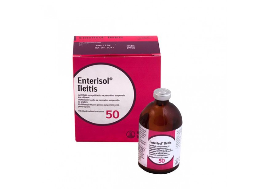 ENTERISOL ILEITIS 100ML 50D