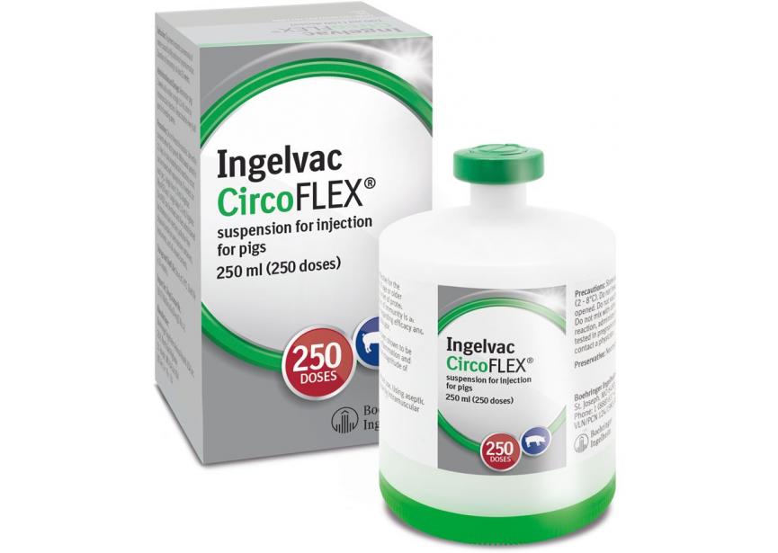 INGELVAC CIRCOFLEX 250ML 250D