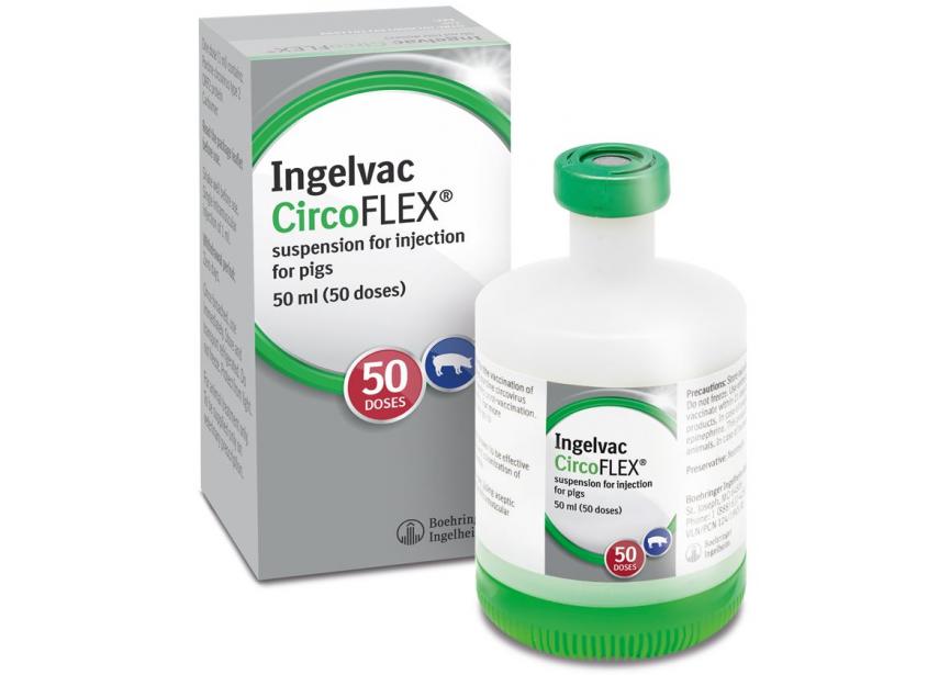 INGELVAC CIRCOFLEX 50ML 50D