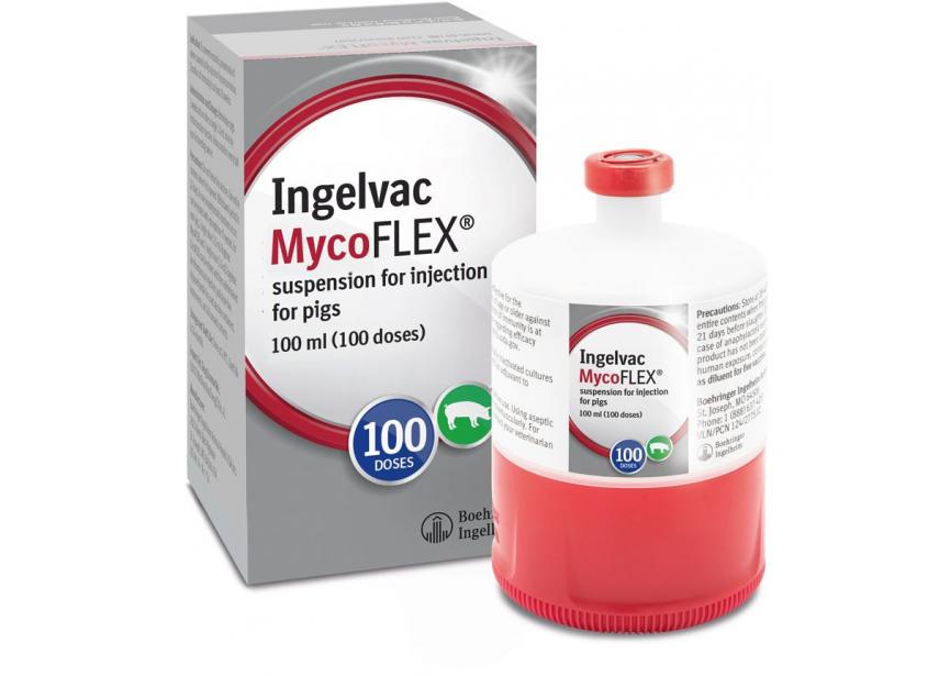 INGELVAC MYCOFLEX 100ML 100D