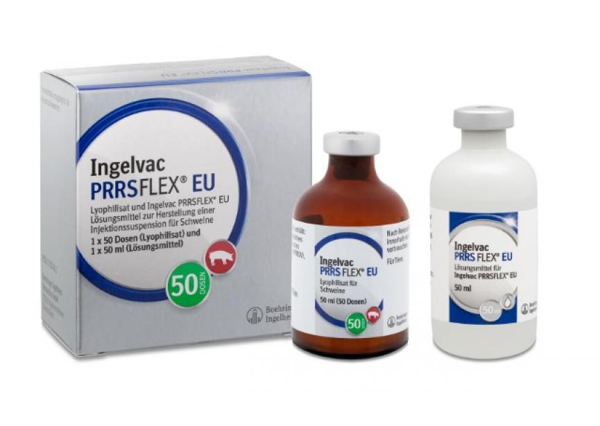 INGELVAC PRRSFLEX 50D