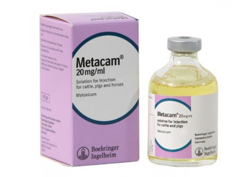 METACAM 20MG ML 100ML