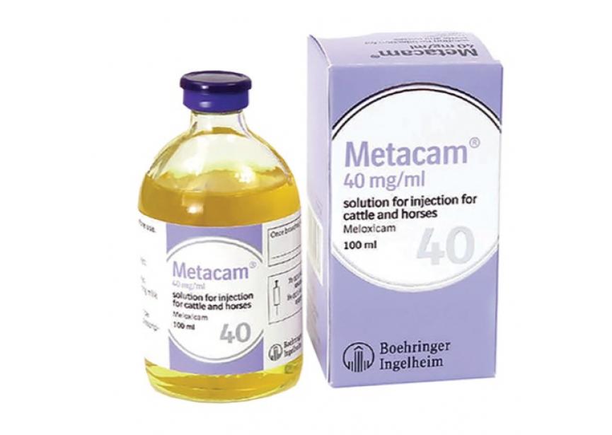 METACAM 40MG ML 100ML