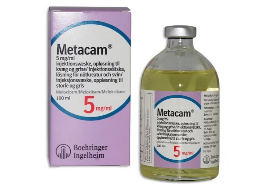 METACAM 5MG ML 100ML