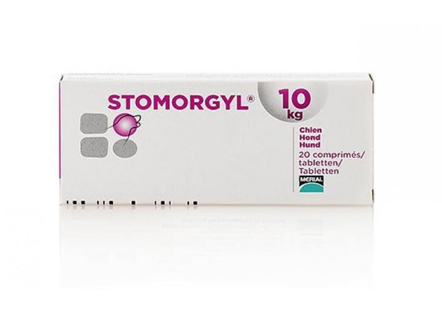 STOMORGYL HOND 20CO