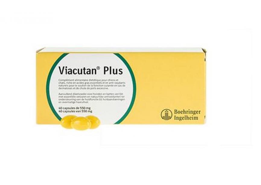 VIACUTAN PLUS 550MG 40CO