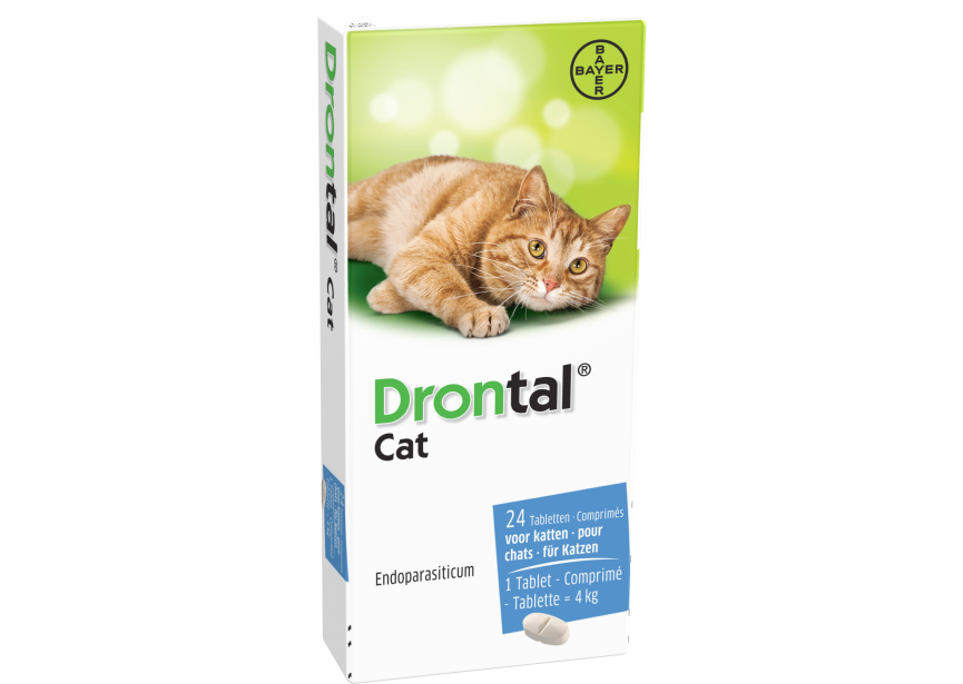 Drontal Cat 24 tabl kliniek