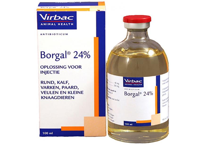 BORGAL 100ML