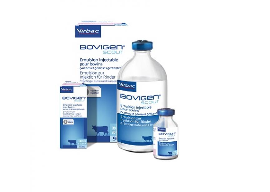 BOVIGEN SCOUR 1INJ 90ML 30D