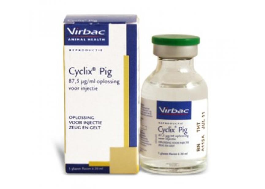 CYCLIX PORCINE