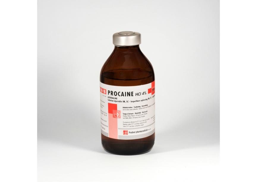 PROCAINE 