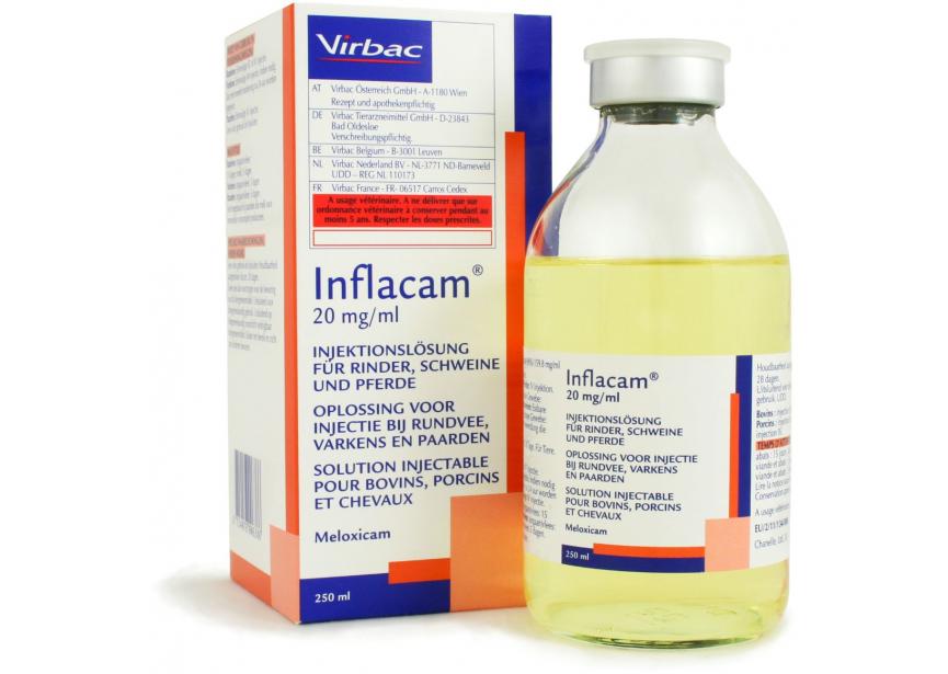 70046 Inflacam 20 mg 250 ml