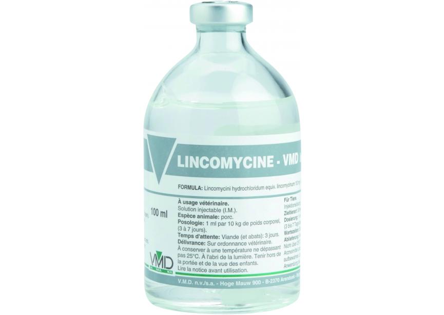 Linco-Inj-100ml_BE_HR