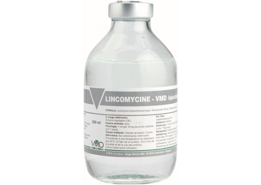 Linco-Inj-250ml_BE_HR