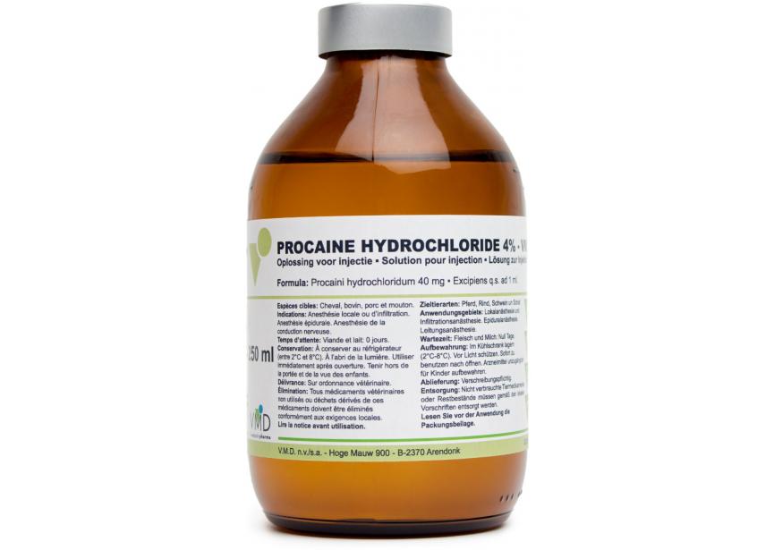 Procaine4_IN_250ml_BE_HR