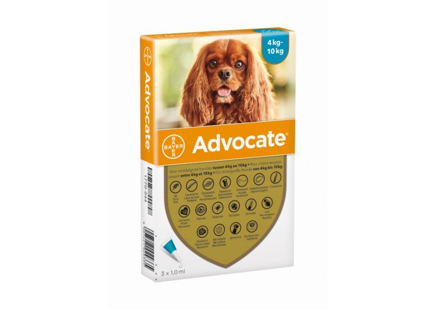 Advocate Hond-4 tot 10kg-3 pip x 1,0ml-2019 (Klein)