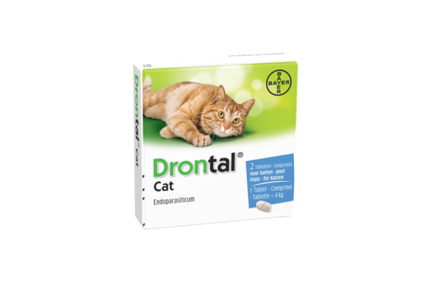 Drontal Cat 2 tabletten (Klein)