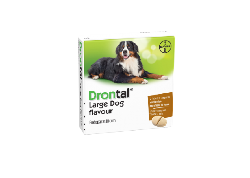 Drontal Large Dog Flavour 2 tabletten (Klein)