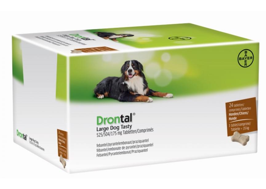 Drontal Large Dog Tasty BE 24 (Klein)