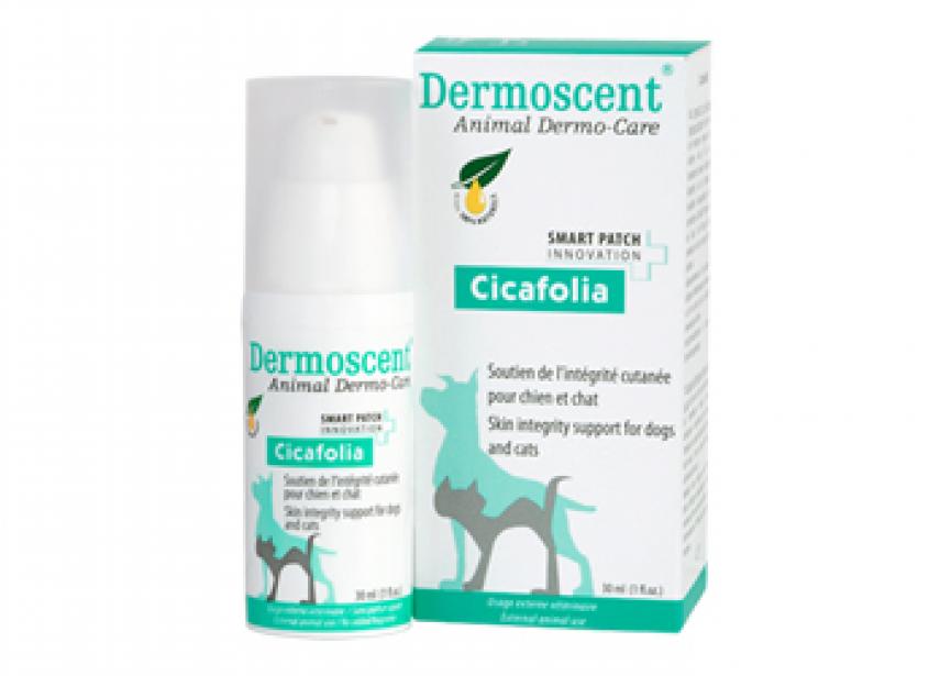 CICAFOLIA HOND & KAT 30 ml