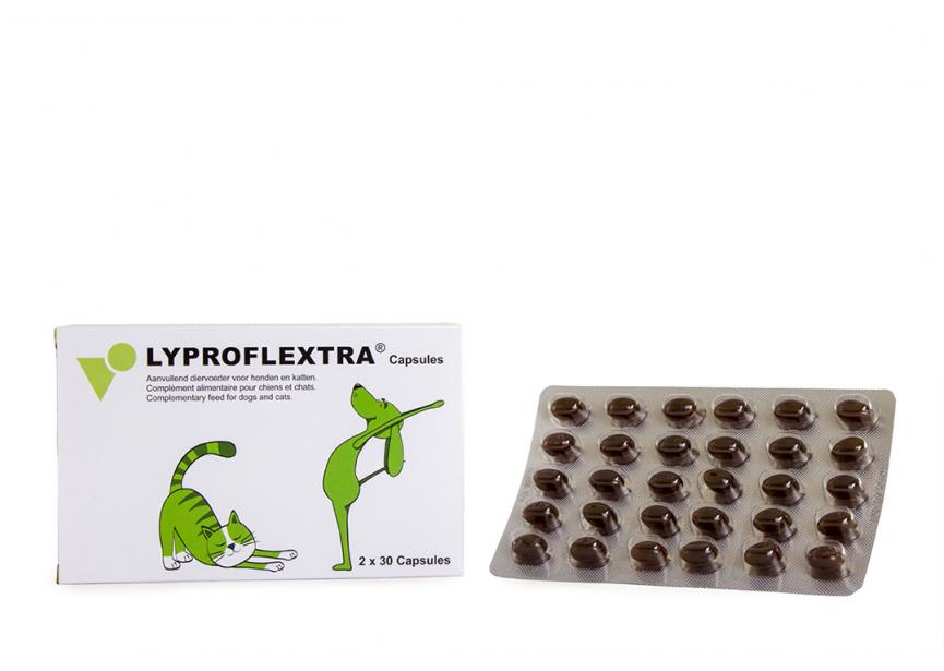 LYPROFLEXTRA CAPSULES (2x30)