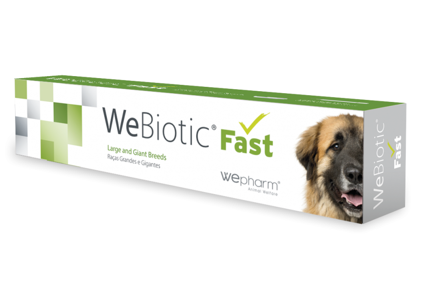 WeBiotic Fast 60 ml