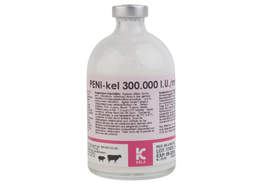 penikel100 (Klein)